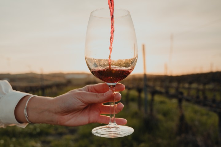 wine tasting close to lisbon