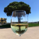 wine tasting close to lisbon