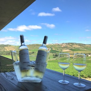 wine tasting close to lisbon