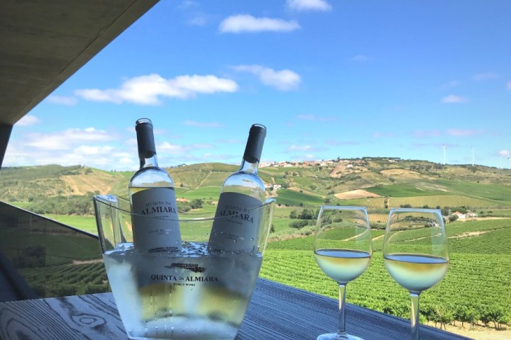 wine tasting close to lisbon
