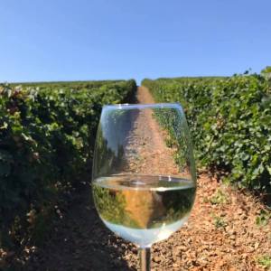 wine tasting close to lisbon