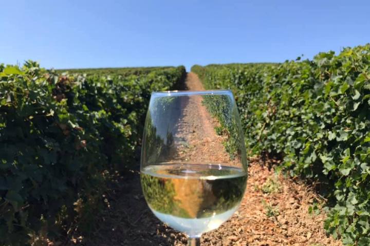 wine tasting close to lisbon