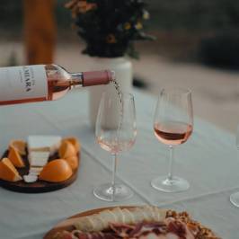 Picnic in the Vineyards