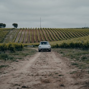 wine tasting with classic car tour