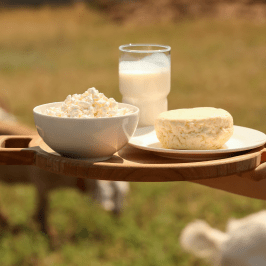 Fresh Goat Cheese Making Experience