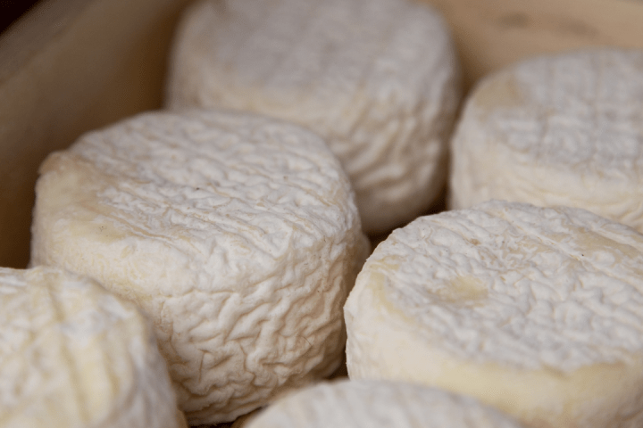 Fresh Goat Cheese Making Experience