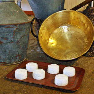 Fresh Goat Cheese Making Experience