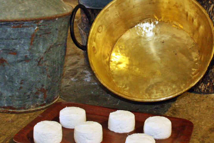 Fresh Goat Cheese Making Experience