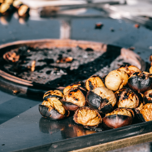 Chestnut Farm experience in Madeira