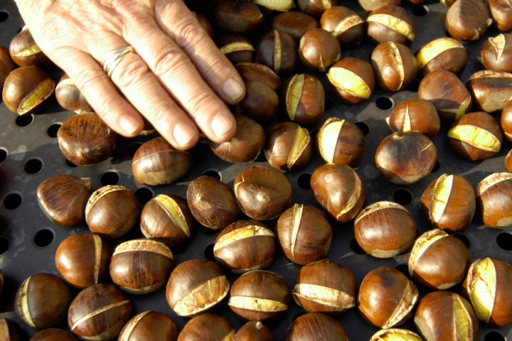 Chestnut Farm experience in Madeira