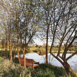 Aromatic herbs Tour in Évora