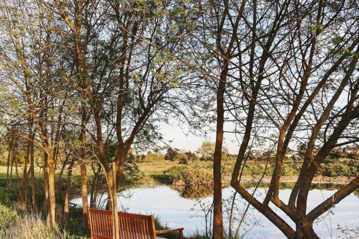 Aromatic herbs Tour in Évora