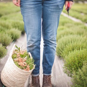 Aromatic herbs Tour in Évora