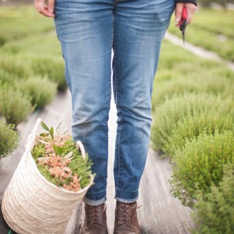 Aromatic herbs Tour in Évora