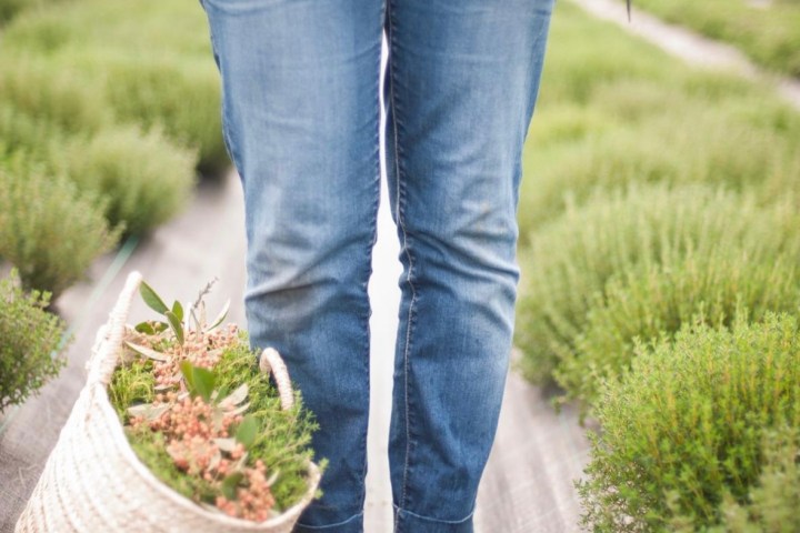 Aromatic herbs Tour in Évora