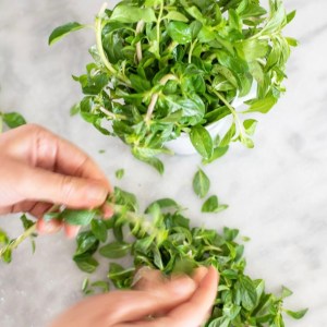 Aromatic herbs Tour in Évora