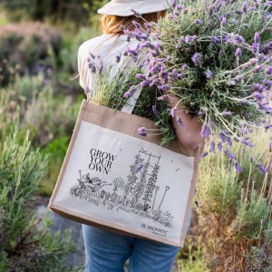 Aromatic herbs Tour in Évora