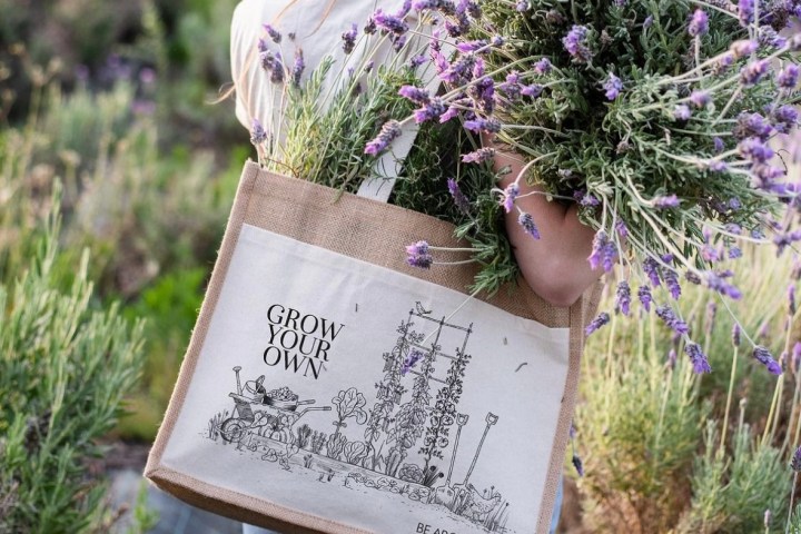 Aromatic herbs Tour in Évora