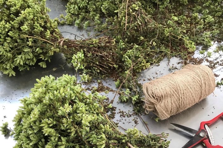 Aromatic herbs Tour in Évora