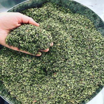 Aromatic herbs Tour in Évora