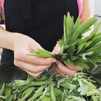 Aromatic herbs Tour in Évora