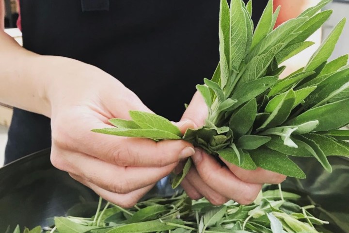 Aromatic herbs Tour in Évora