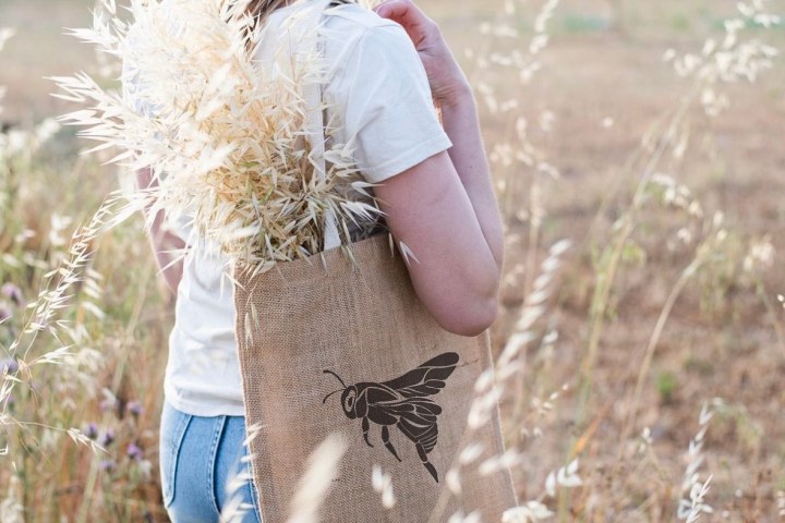 Aromatic herbs Tour in Évora