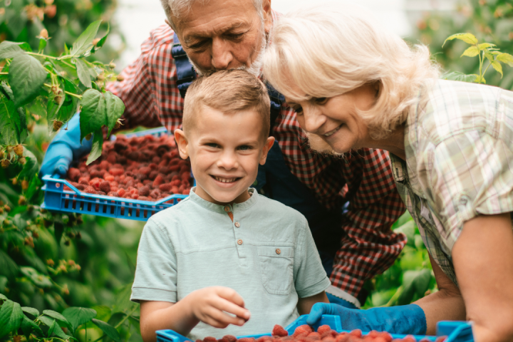 Berries farm experience