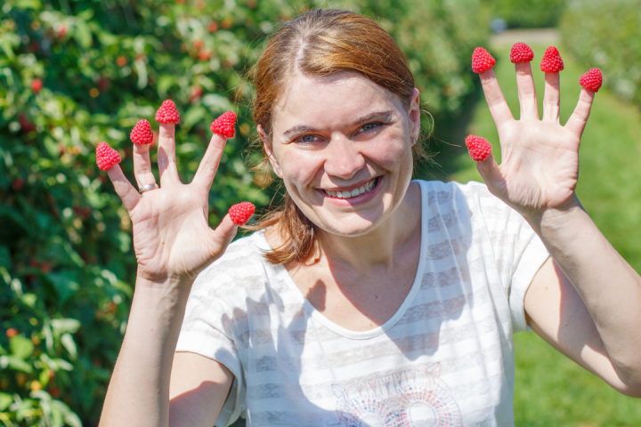 Berries farm experience