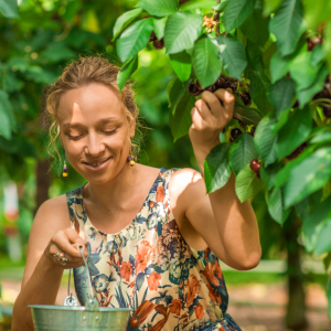 Cherry farm Madeira island