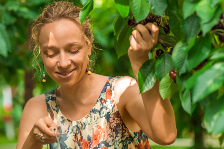 Cherry farm Madeira island