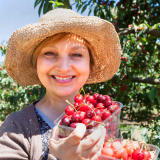 Cherry farm Madeira island
