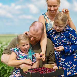 Cherry farm Madeira island