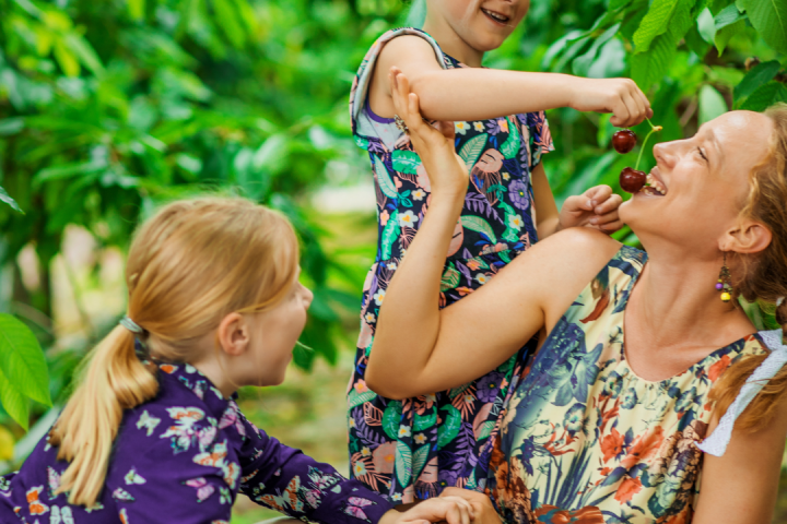 Cherry farm Madeira island