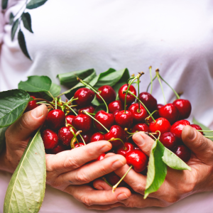Cherry farm Madeira island