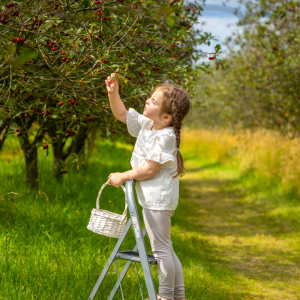 a person holding a frisbee in the park