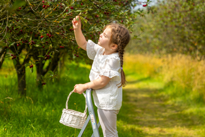 a person holding a frisbee in the park