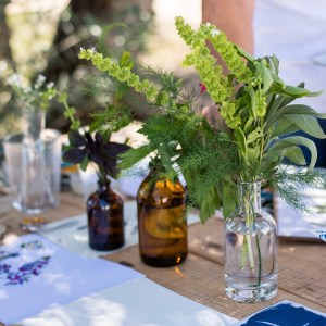 Herbarium – Illustration Workshop in Évora