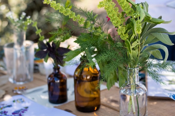 Herbarium – Illustration Workshop in Évora