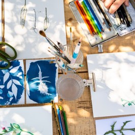 Herbarium – Illustration Workshop in Évora