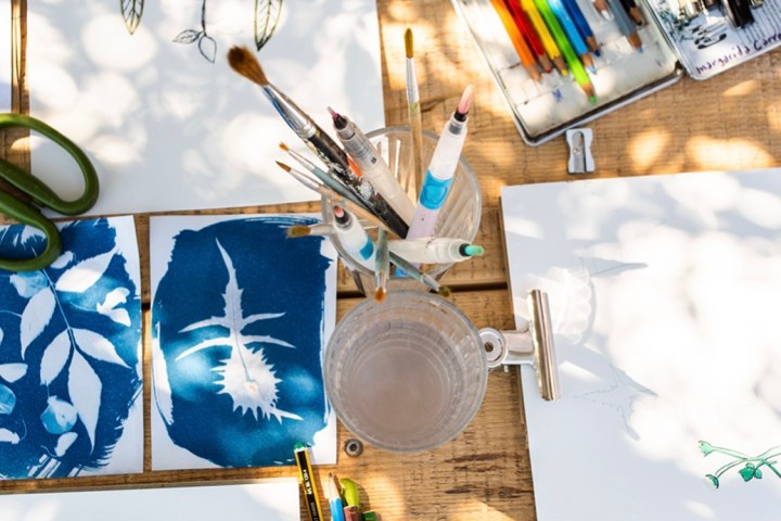 Herbarium – Illustration Workshop in Évora