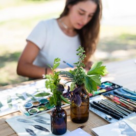Herbarium – Illustration Workshop in Évora