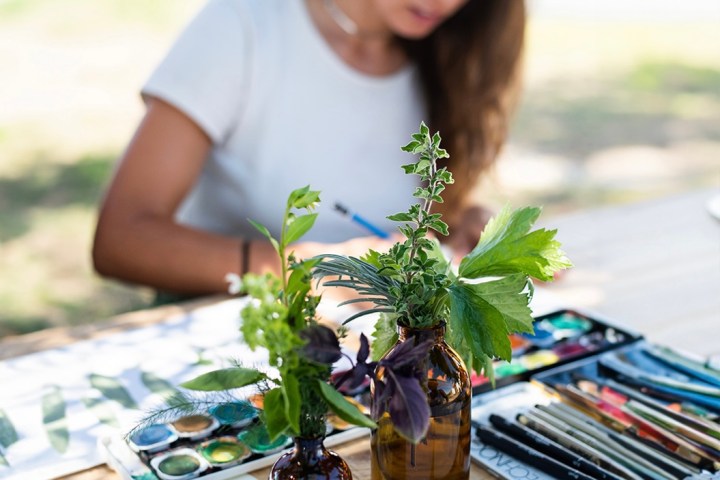 Herbarium – Illustration Workshop in Évora