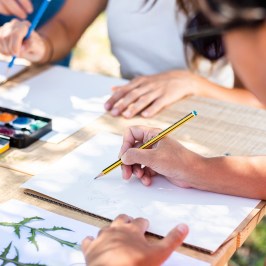 Herbarium – Illustration Workshop in Évora