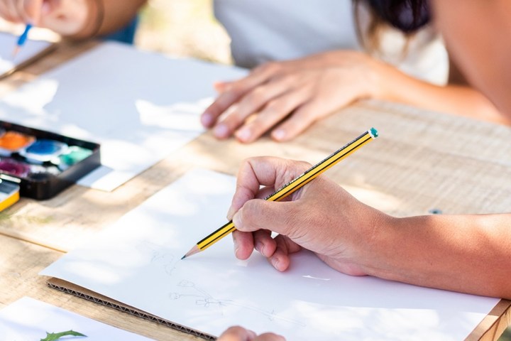Herbarium – Illustration Workshop in Évora