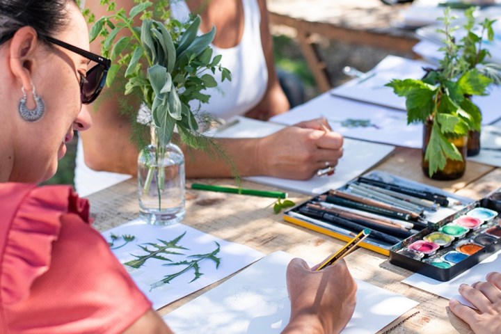 Herbarium – Illustration Workshop in Évora