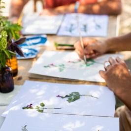 Herbarium – Illustration Workshop in Évora