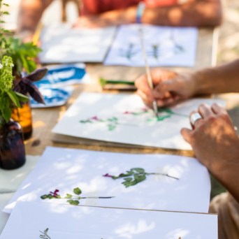 Herbarium – Illustration Workshop in Évora