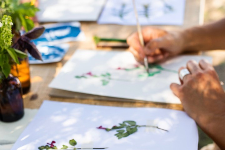 Herbarium – Illustration Workshop in Évora