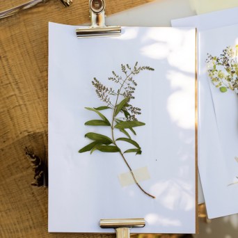 Herbarium – Illustration Workshop in Évora